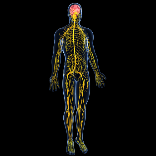 El Cáncer y el Metabolismo Preguntale a Frank Suarez