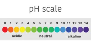 escala Ph