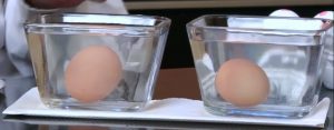 diferencia entre tipos de huevo