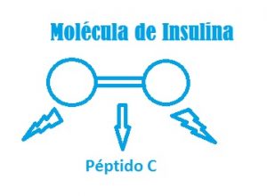 molecula de insulina
