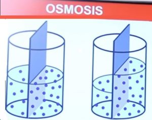 osmosis