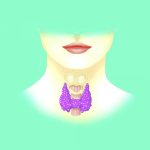 Glándula tiroides
