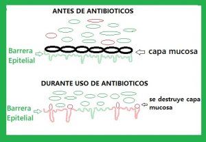 antibioticos 01